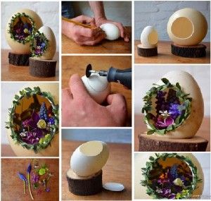 DIY Egg Shell Mini Garden