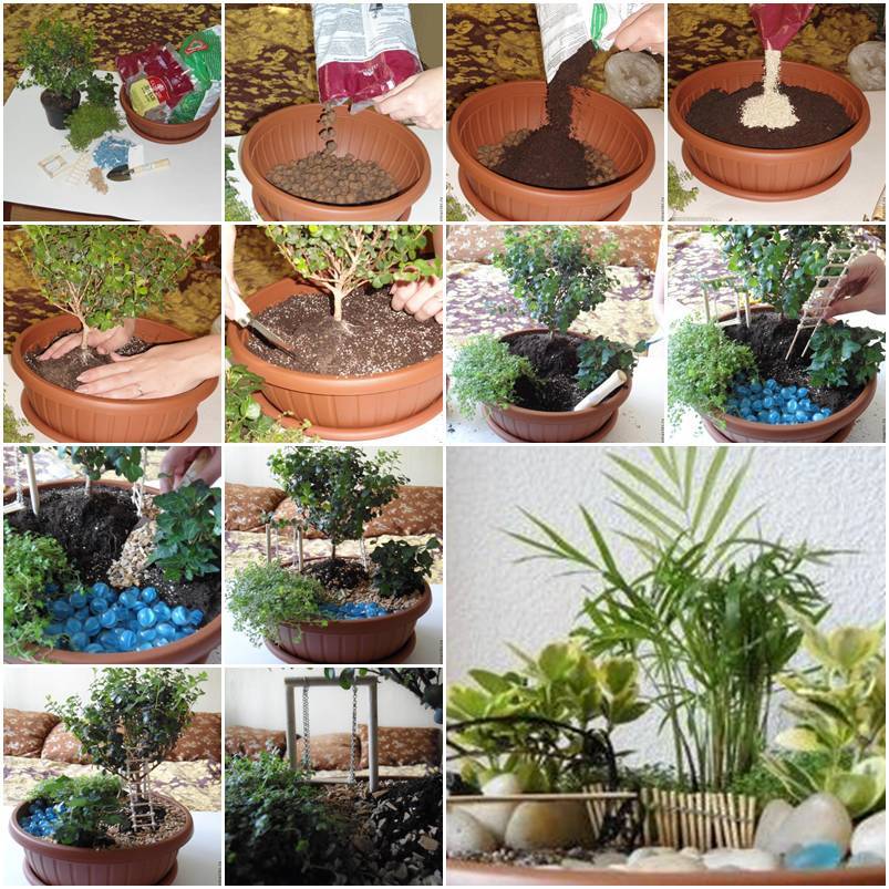 DIY Mini Garden In A Pot
