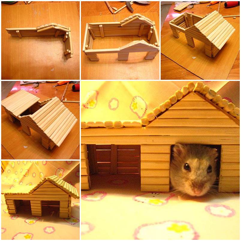 DIY Hamster House with Chopsticks