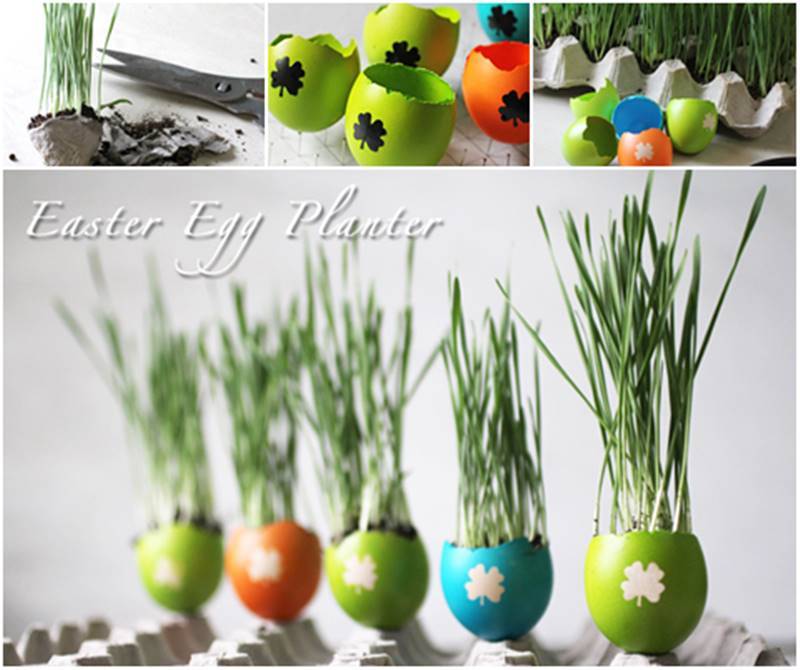 DIY Easter Eggshell Planters