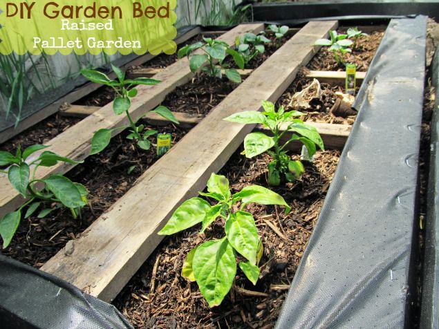 25 Amazing DIY Projects to Repurpose Pallets into Garden Planters --> Raised Wood Pallet Garden Bed