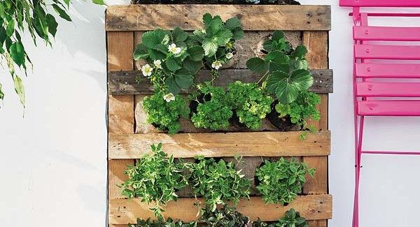 25 Amazing DIY Projects to Repurpose Pallets into Garden Planters --> Pallet Vertical Garden