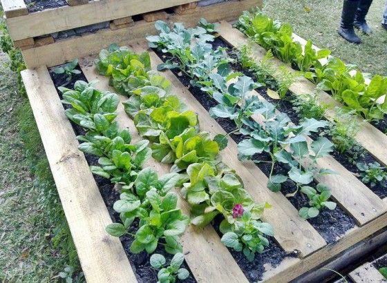 25 Amazing DIY Projects to Repurpose Pallets into Garden Planters --> Wood Pallet Garden Frames