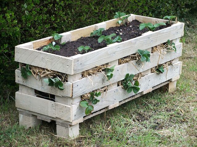 25 Amazing DIY Projects to Repurpose Pallets into Garden Planters --> Strawberry Pallet Planter