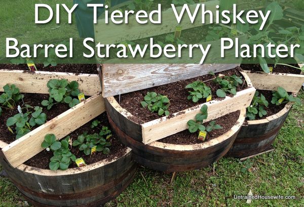 36+ Creative DIY Ideas to Upcycle Old Wine Barrels --> DIY Tiered Wine Barrel Strawberry Planter