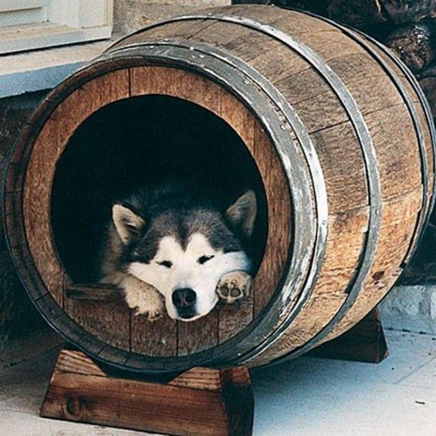 36+ Creative DIY Ideas to Upcycle Old Wine Barrels --> Wine Barrel Dog House