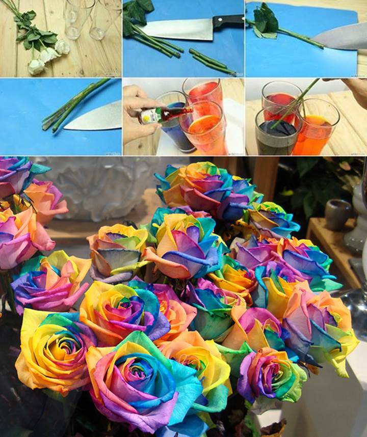 DIY Real Rainbow Roses 1