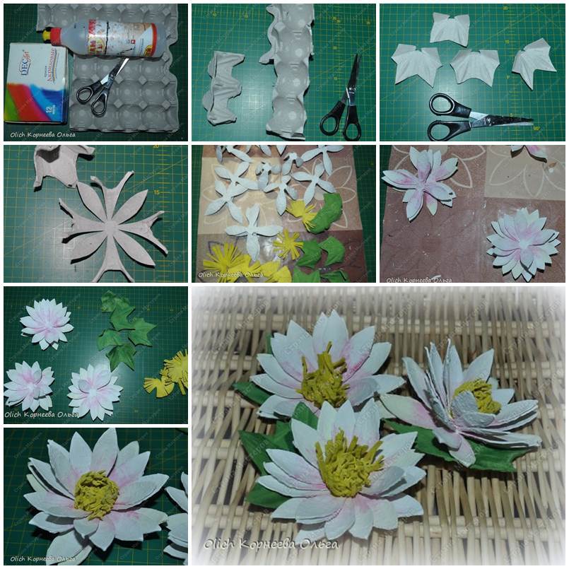 Egg Carton Craft - Delicate Waterlily