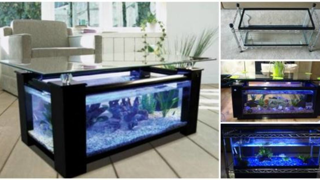 Recommendation factor Join How to DIY Aquarium Coffee Table
