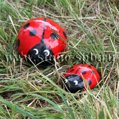 How-to-DIY-Decorative-Pebble-Ladybugs-9.jpg