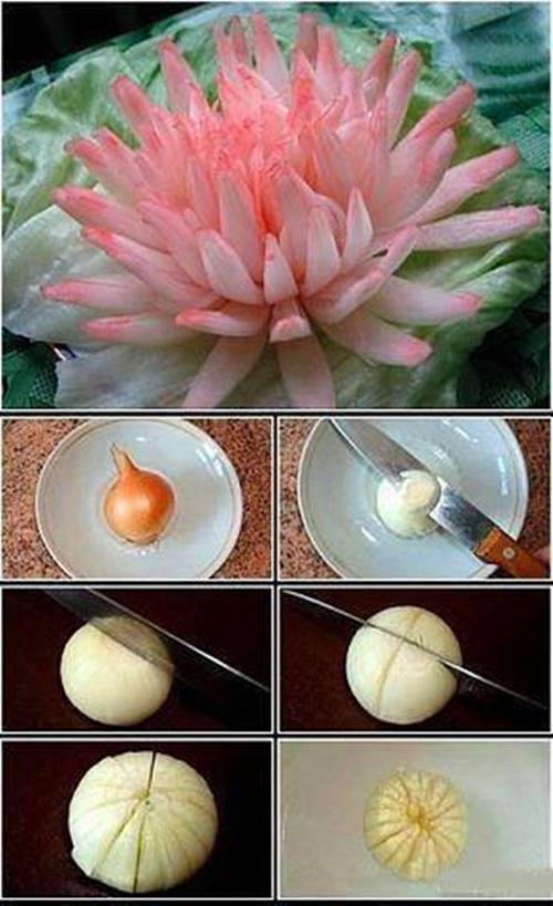 How to DIY Onion Chrysanthemum