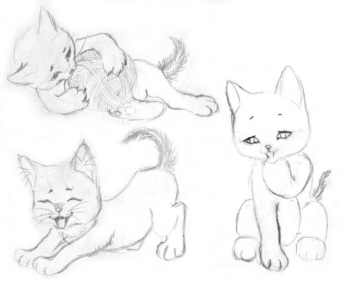 How-to-Draw-a-Kitten-Easily-10.jpg