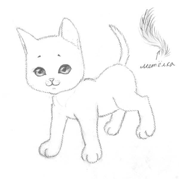 How-to-Draw-a-Kitten-Easily-6.jpg