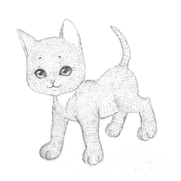 How-to-Draw-a-Kitten-Easily-7.jpg