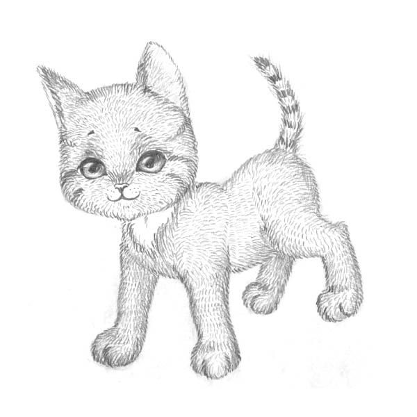 How-to-Draw-a-Kitten-Easily-8.jpg