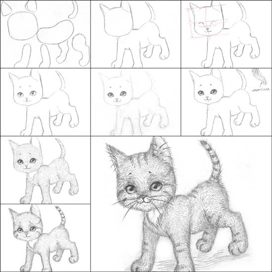 How to Draw a Kitten Easily