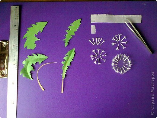 How-to-Make-Beautiful-Paper-Dandelions-2.jpg