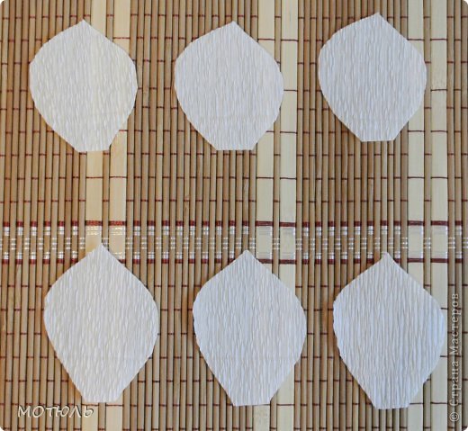 How-to-Make-Crepe-Paper-Chocolate-Jasmine-Flowers-3.jpg
