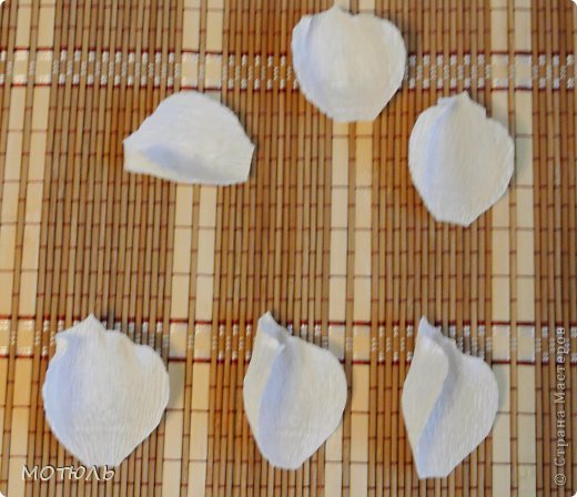 How-to-Make-Crepe-Paper-Chocolate-Jasmine-Flowers-7.jpg