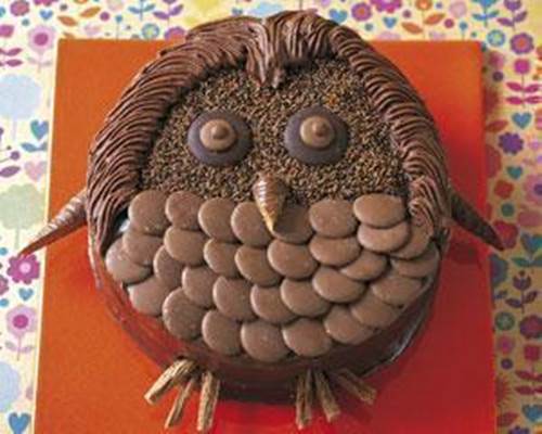 Creative Chocolate Button Cakes DIY Ideas - Wise Owl Birthday Cake