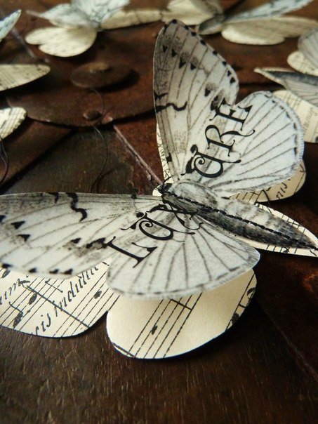 DIY Beautiful Butterfly Decoration from Templates