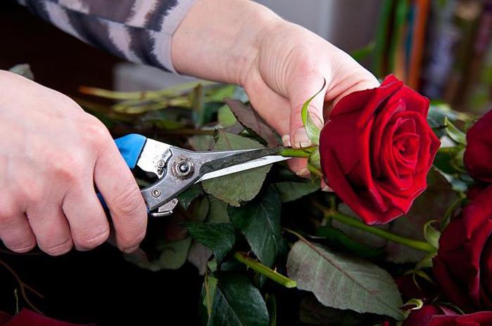 How-to-DIY-Heart-of-Roses-and-Strawberries-2.jpg