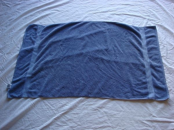 How-to-DIY-Towel-Swan-1.jpg