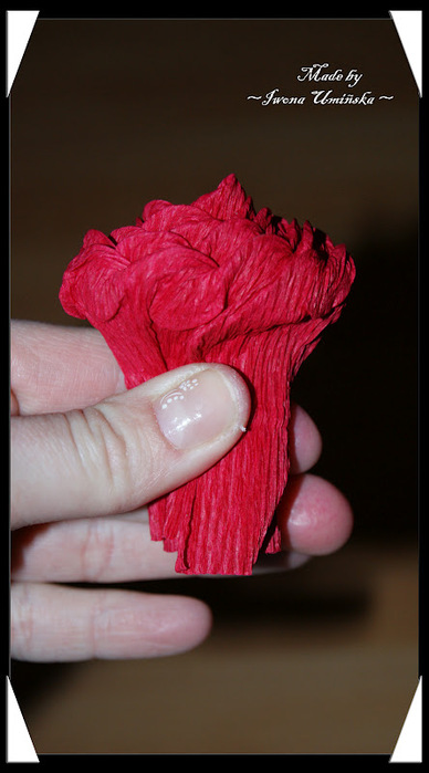 How-to-DIY-Unique-Crepe-Paper-Flower-19.jpg