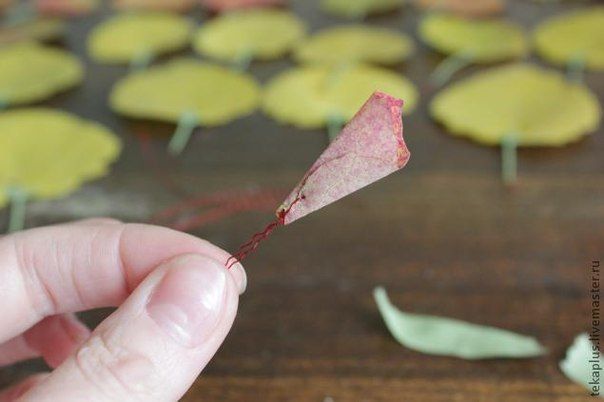 How-to-DIY-Beautiful-Roses-from-Autumn-Leaves-5.jpg