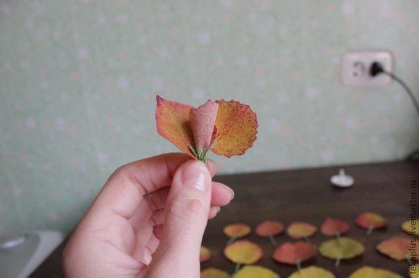 How-to-DIY-Beautiful-Roses-from-Autumn-Leaves-6.jpg