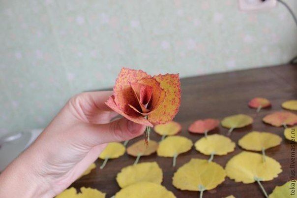 How-to-DIY-Beautiful-Roses-from-Autumn-Leaves-8.jpg