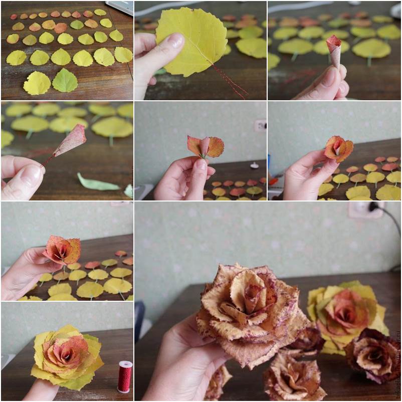 How to DIY Beautiful Roses from Autumn Leaves