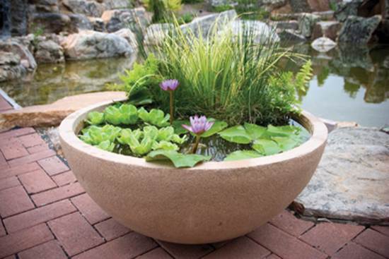 How to DIY Mini Garden Pond in a Container