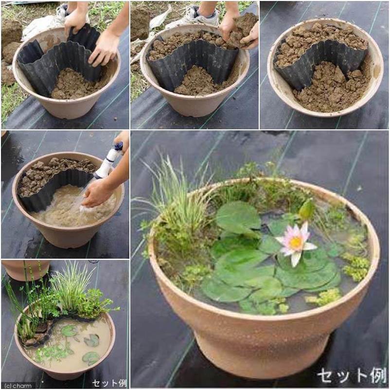 How to DIY Mini Garden Pond in a Container