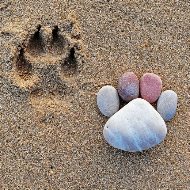 How-to-Make-Creative-Stone-Footprints-DIY-Ideas-7.jpg