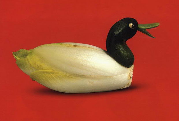 Vegetable Duck