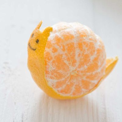 Mandarin Orange Snail