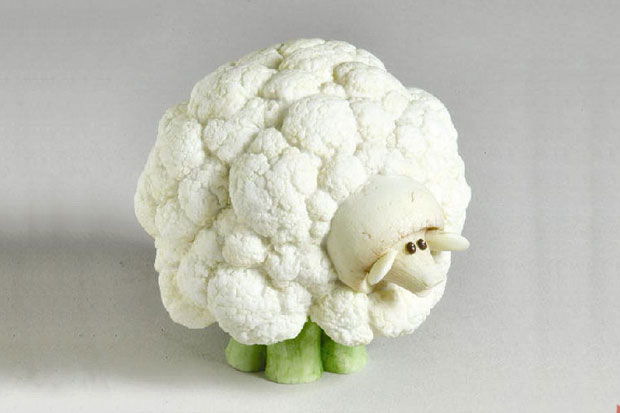 Cauliflower Sheep