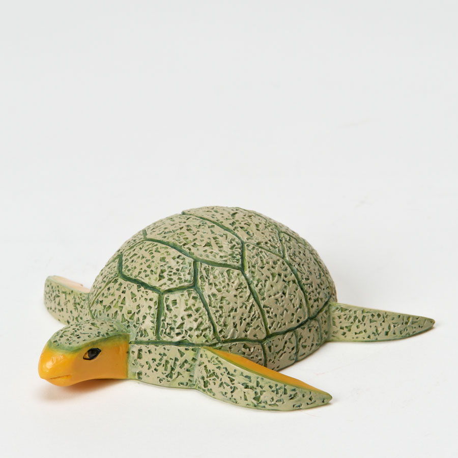 Cantaloupe Sea Turtle
