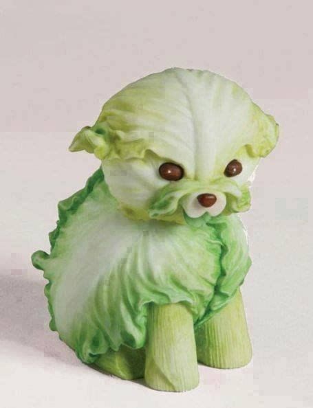 Cabbage Dog