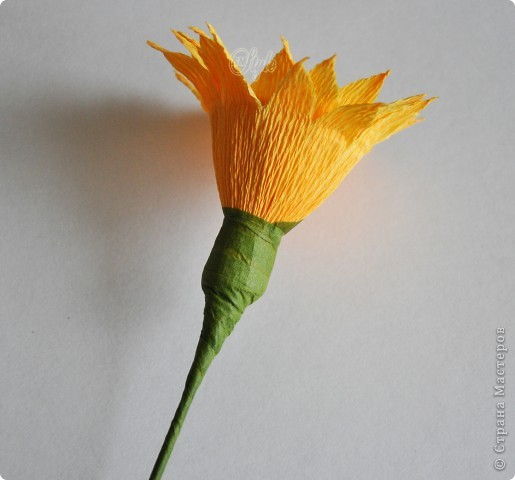 How-to-DIY-Crepe-Paper-Chocolate-Sunflowers-10.jpg