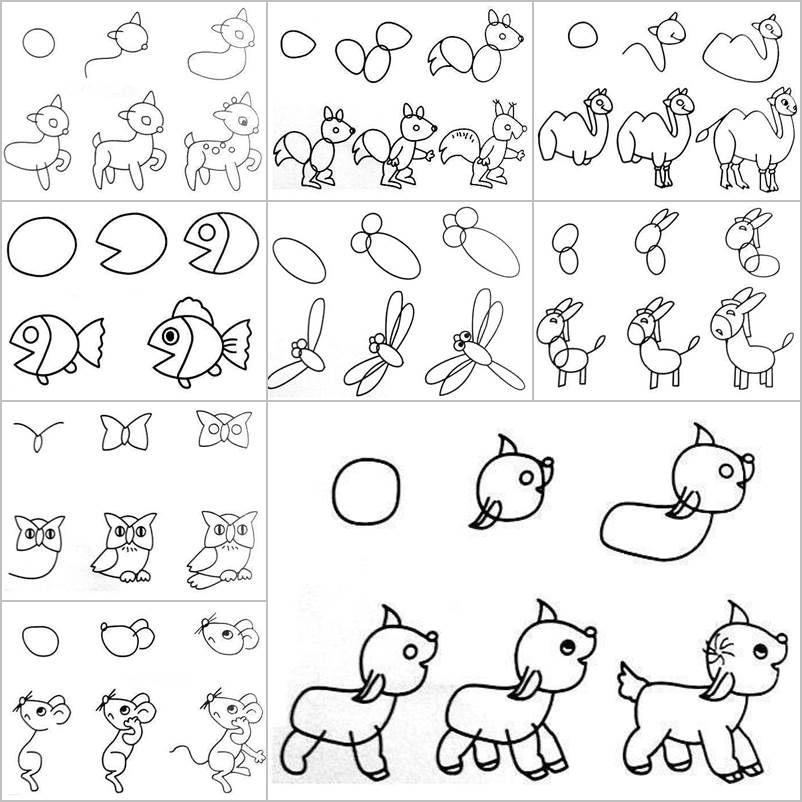 How To Draw Easy Animal Figures In Simple Steps