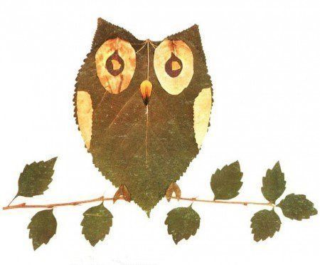 Creative Leaf Animal Art - Leaf Owl