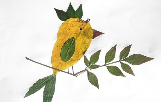Creative Leaf Animal Art - Leaf Bird