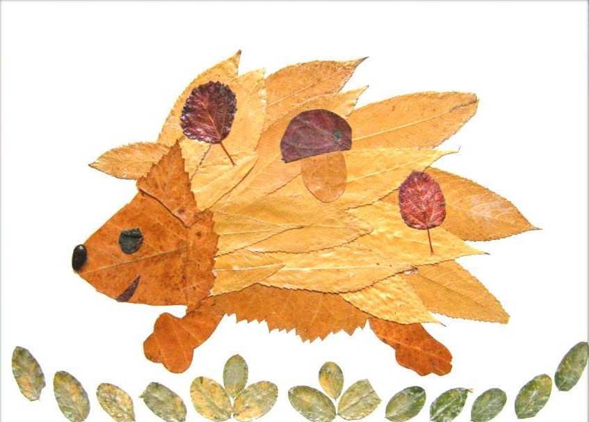 Creative Leaf Animal Art - Leaf Hedgehog