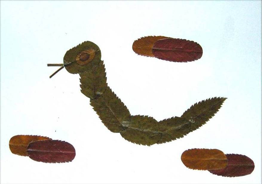 Creative Leaf Animal Art - Leaf Caterpillar