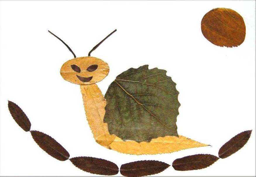 Creative Leaf Animal Art - Leaf Snail