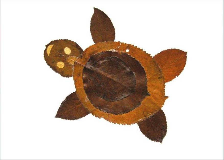 Creative Leaf Animal Art - Leaf Turtle