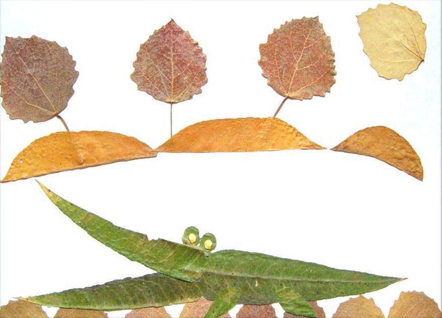 Creative Leaf Animal Art - Leaf Crocodile