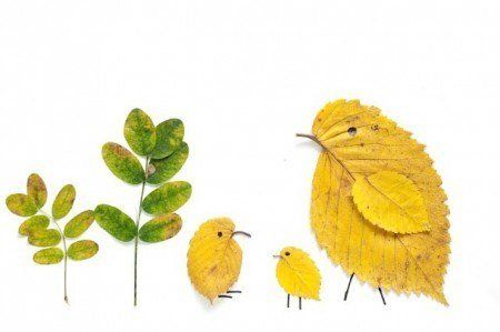 Creative Leaf Animal Art - Leaf Chickens